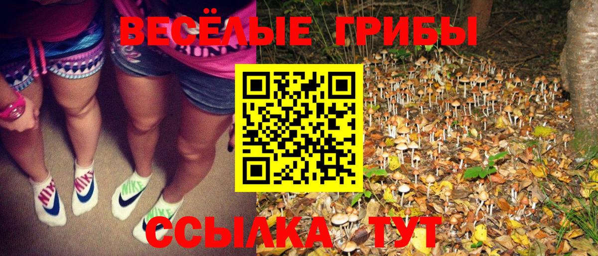 Псилоцибиновые грибы Cubensis  Вход с VPN  как найти   Псилоцибиновые грибы ЛСД  Мегион 