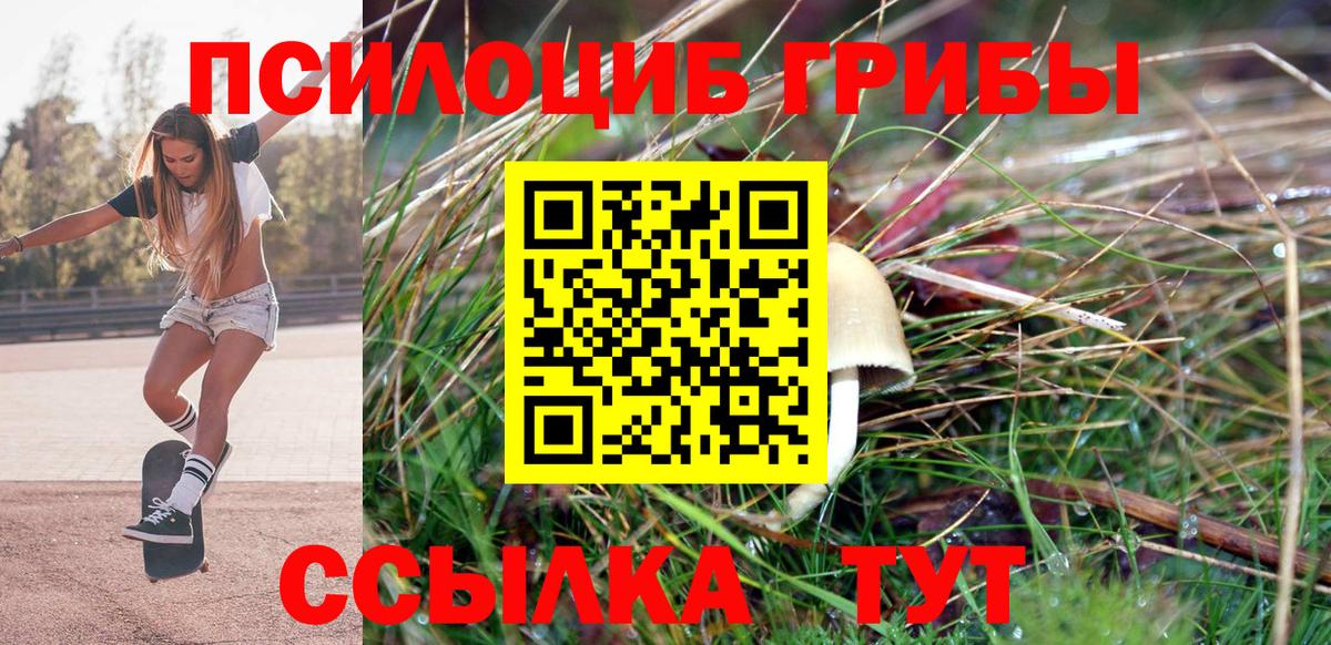 Псилоцибиновые грибы ЛСД Мегион